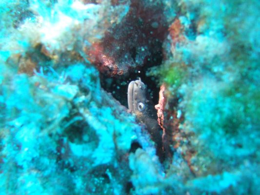 DSCF2309